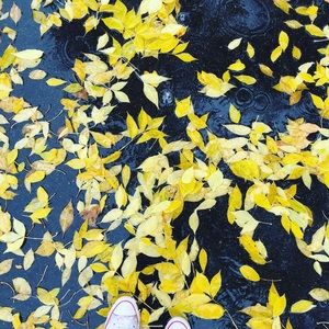 Meet your Posher, Quinn